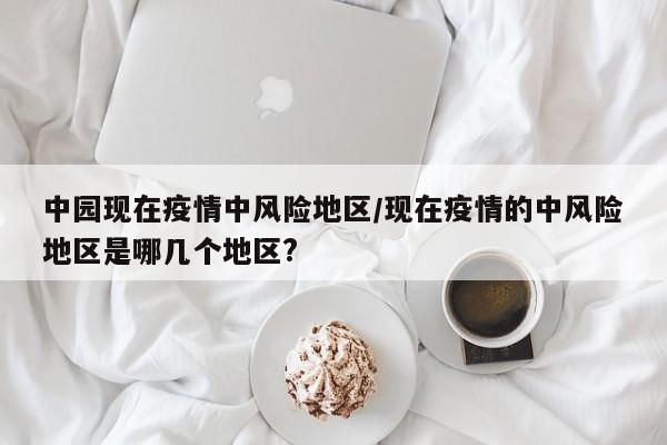 中园现在疫情中风险地区/现在疫情的中风险地区是哪几个地区?