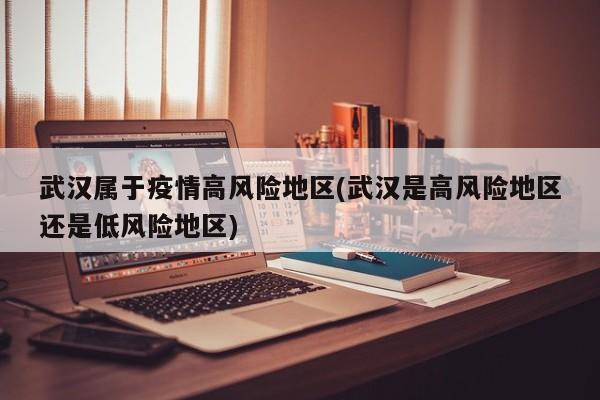 武汉属于疫情高风险地区(武汉是高风险地区还是低风险地区)