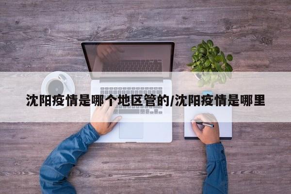沈阳疫情是哪个地区管的/沈阳疫情是哪里