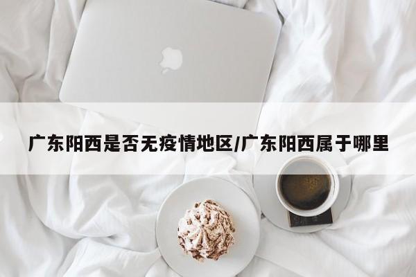 广东阳西是否无疫情地区/广东阳西属于哪里