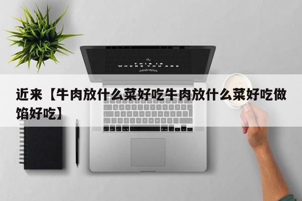 近来【牛肉放什么菜好吃牛肉放什么菜好吃做馅好吃】