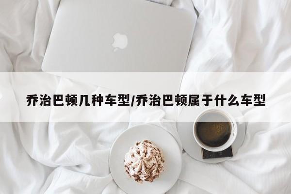 乔治巴顿几种车型/乔治巴顿属于什么车型