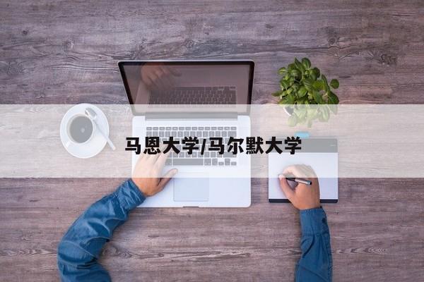 马恩大学/马尔默大学