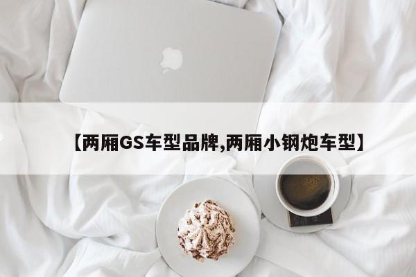 【两厢GS车型品牌,两厢小钢炮车型】