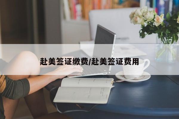 赴美签证缴费/赴美签证费用