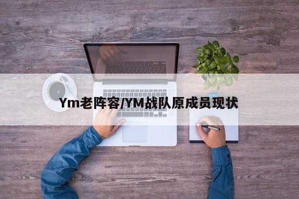 Ym老阵容/YM战队原成员现状
