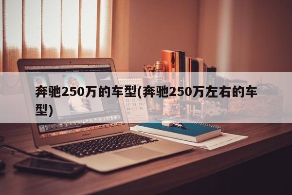 奔驰250万的车型(奔驰250万左右的车型)