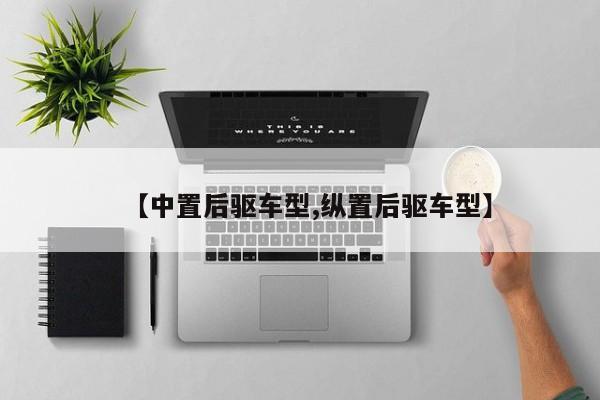【中置后驱车型,纵置后驱车型】
