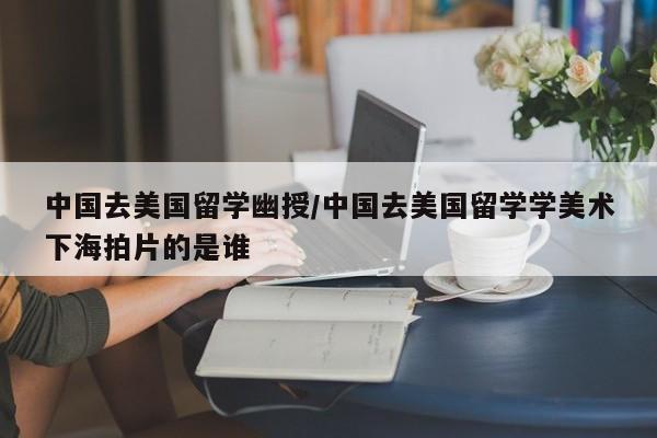 中国去美国留学幽授/中国去美国留学学美术下海拍片的是谁