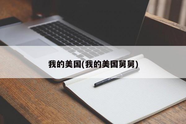 我的美国(我的美国舅舅)