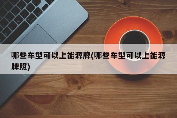 哪些车型可以上能源牌(哪些车型可以上能源牌照)