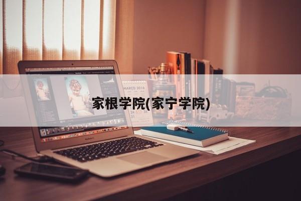 家根学院(家宁学院)