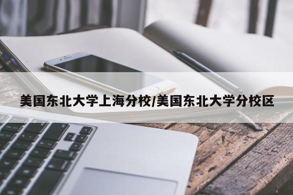 美国东北大学上海分校/美国东北大学分校区