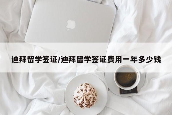 迪拜留学签证/迪拜留学签证费用一年多少钱