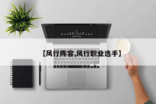 【风行阵容,风行职业选手】