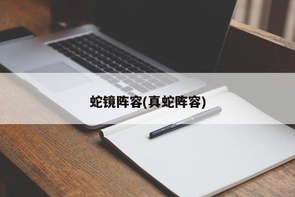 蛇镜阵容(真蛇阵容)