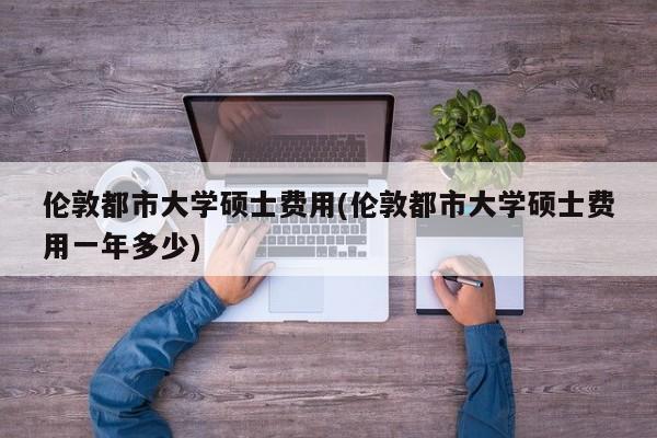 伦敦都市大学硕士费用(伦敦都市大学硕士费用一年多少)