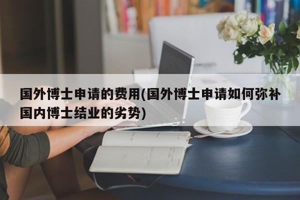 国外博士申请的费用(国外博士申请如何弥补国内博士结业的劣势)