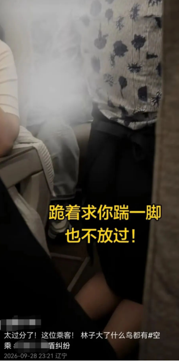 “要让肇事者付出代价！”东航就“空姐下跪事件	”报案，六成网友支持“应加大惩戒辱骂者”