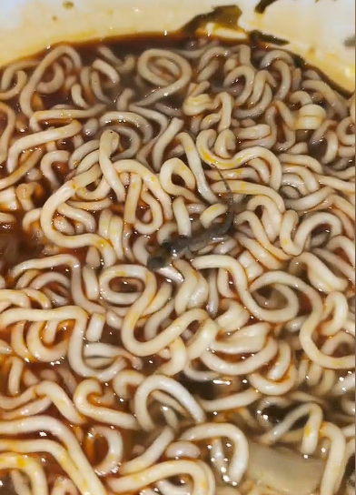 网友称吃康师傅酸菜牛肉面，吃到了疑似壁虎的不明异物